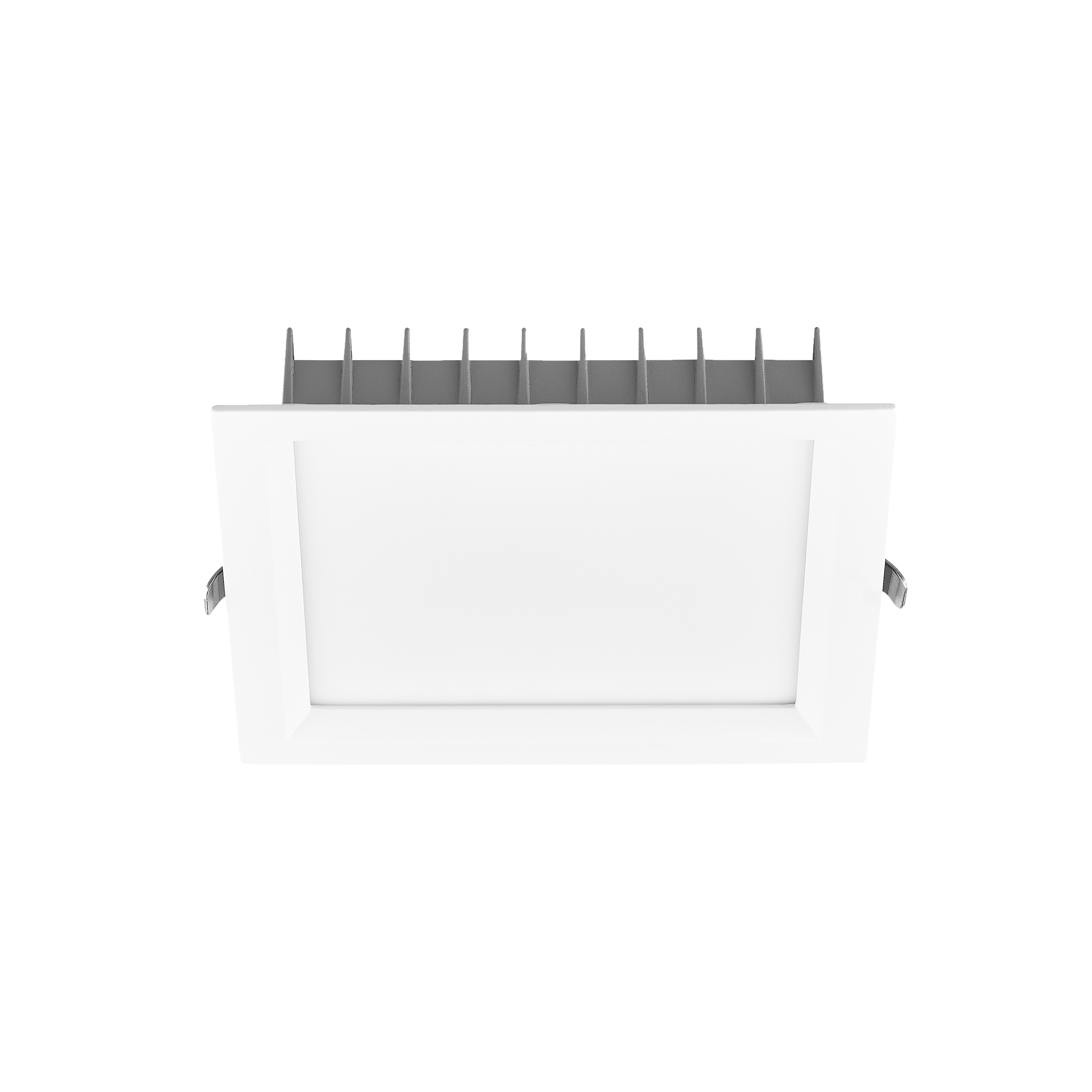 DL25-S Downlight