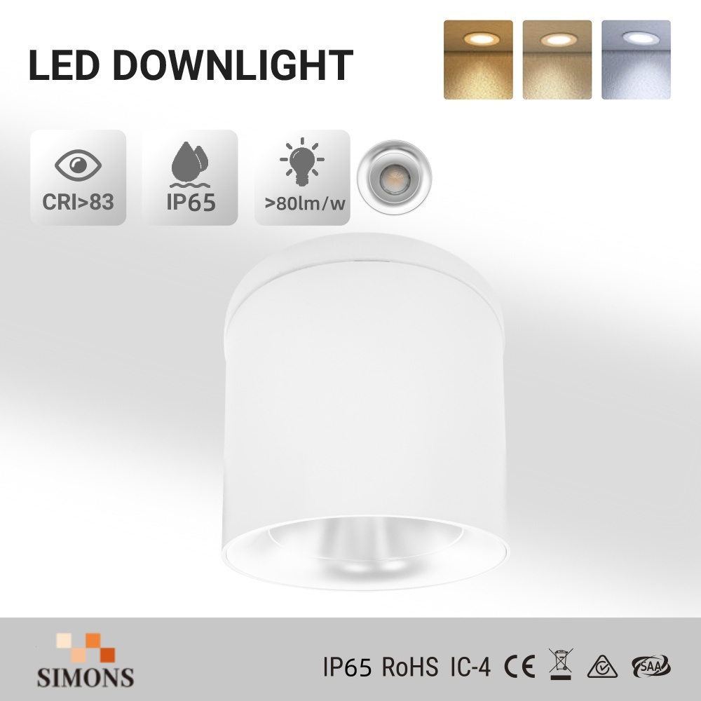 SDL13 white IP65 Surface-Mounted Downlight Minimalist Aluminum Spotlight 10W  Indoor Ceiling-Mounted LED Downlight Office COB Spotlight