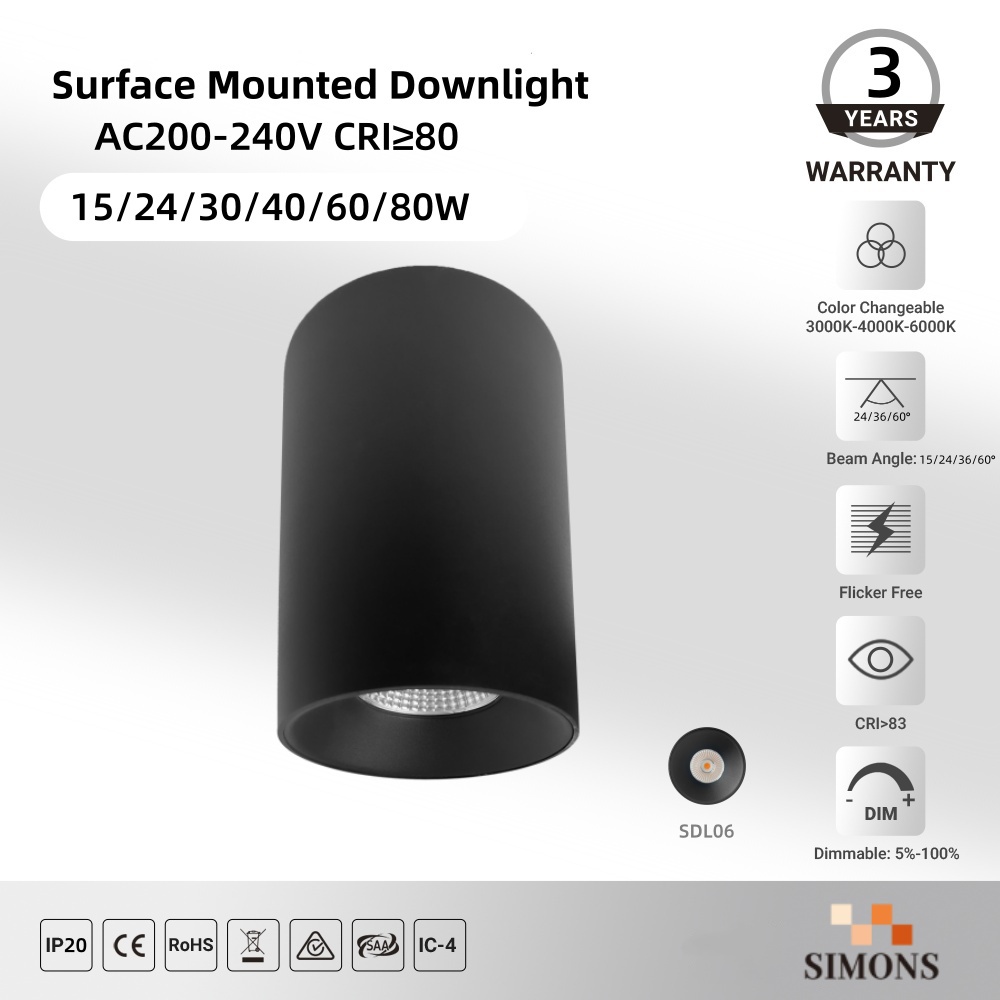 SDL06 Surface Mounted Downlight 10-80W Indoor Ceiling LED Downlight Hotel Home Lamp Office COB Aluminum Downlight Saa Ce Light Black
