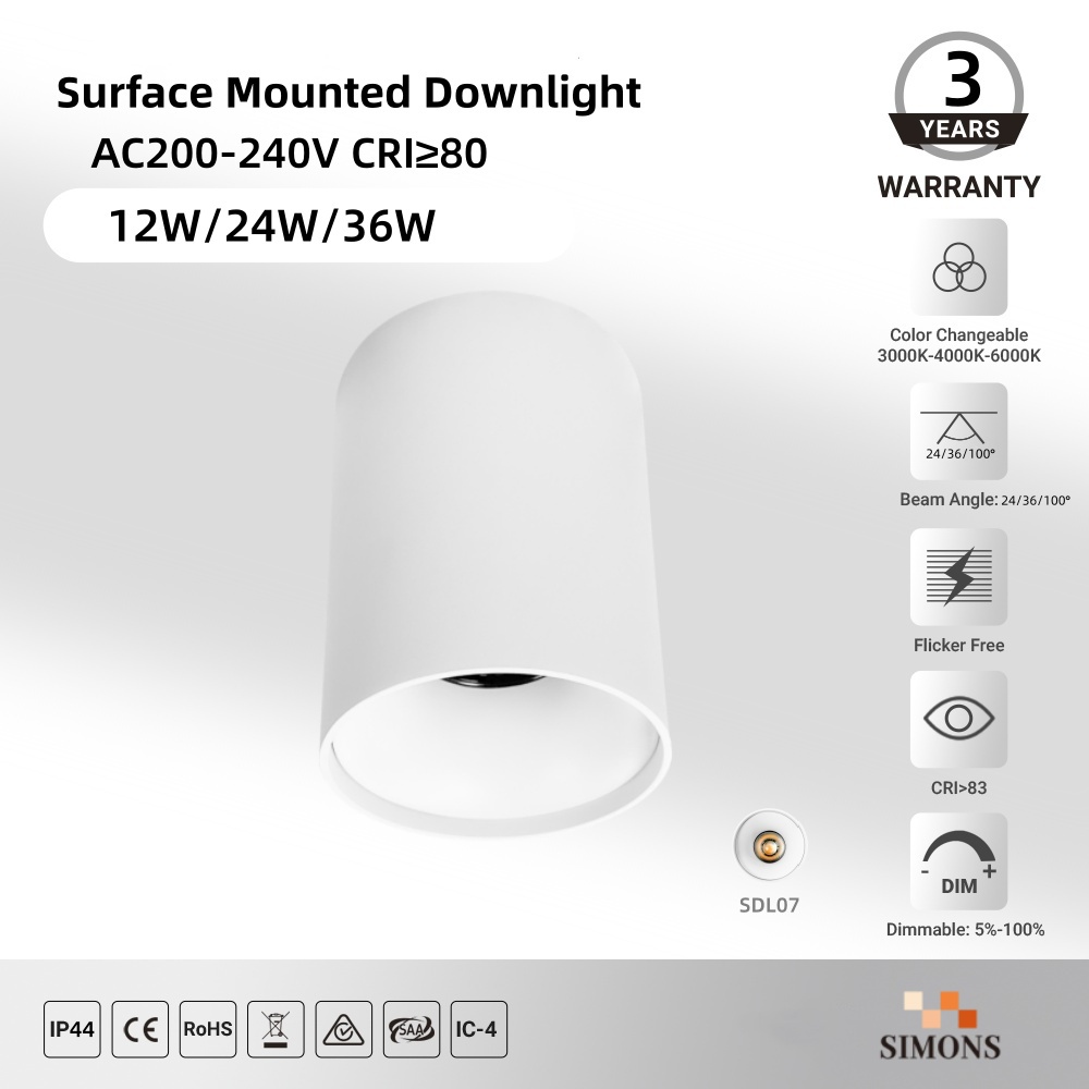 SDL07 Surface Mounted Downlight 10-80W Indoor Ceiling LED Downlight Hotel Home Lamp Office COB Aluminum Downlight Saa Ce Light Black