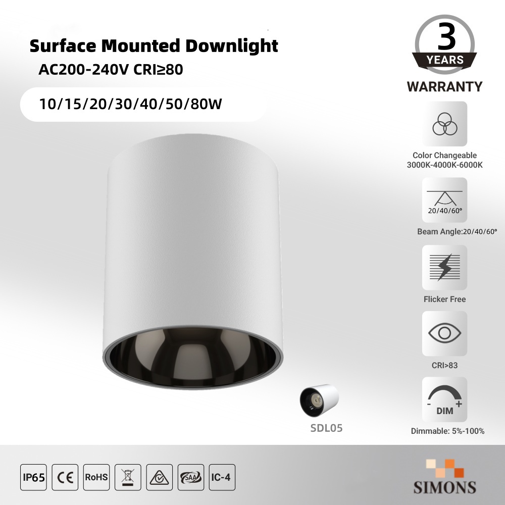 SDL05 IP20 Waterproof Surface Mounted Aluminum Downlight 12/24/36W Indoor Ceiling-Mounted LED Downlight Hotel Office COB Downlight