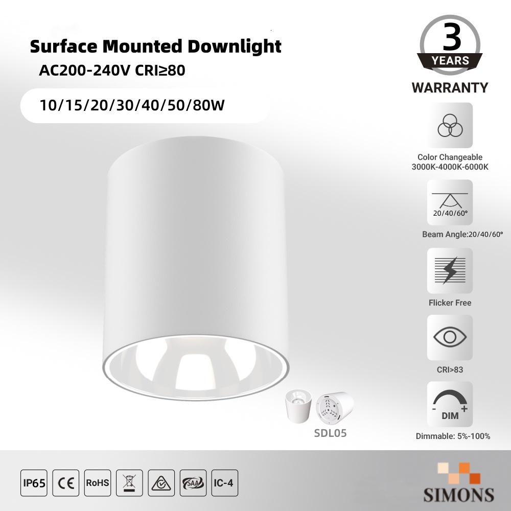 SDL05 white IP65 Waterproof Surface Mounted Aluminum Downlight 12/24/36W Indoor Ceiling-Mounted LED Downlight Hotel Office COB Downlight